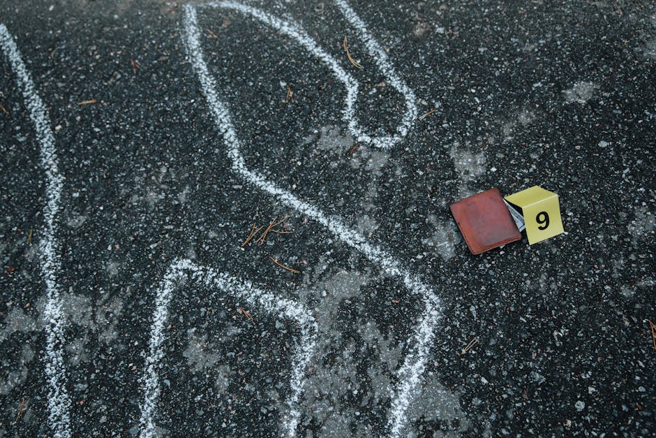 Ce înseamnă când visezi că găsești un portofel — interpretare vise bani