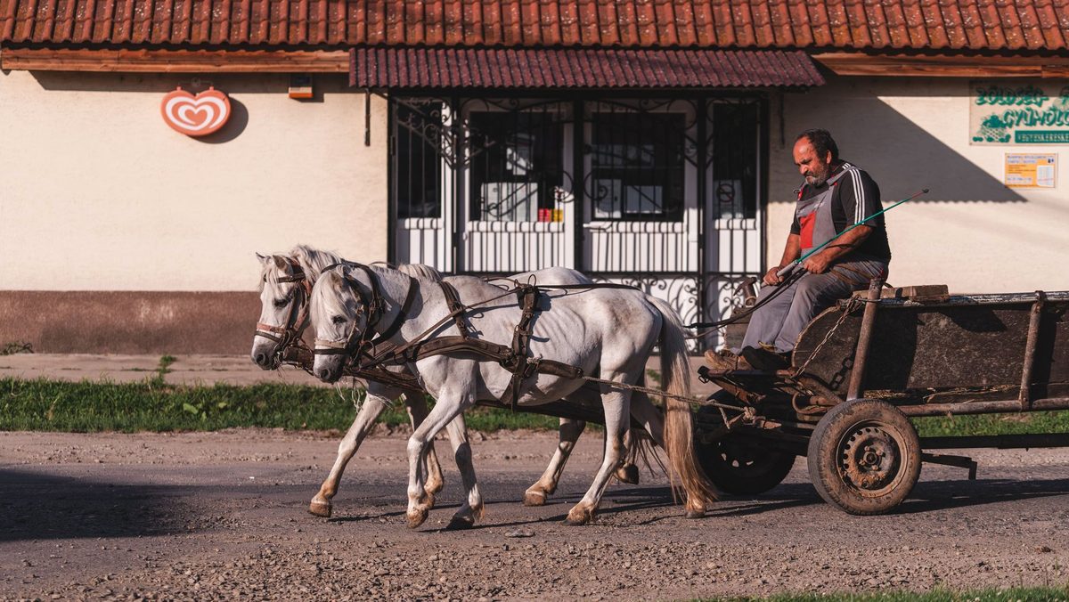 Cal și căruță pe un drum rural, imagine pentru interpretarea unui vis