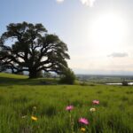 Ce înseamnă Emil? Origine și semnificație ce inseamna emil