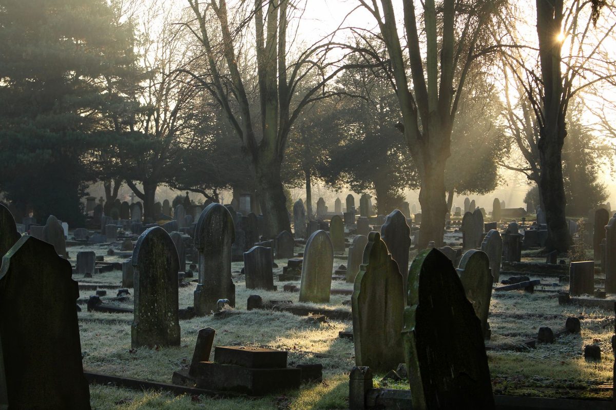 Raze de soare luminând o alee liniștită în cimitir