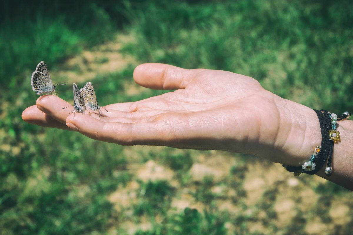 Fluture maro-portocaliu așezat pe vârful unui deget, detaliu macro al conexiunii intime cu natura și momente spirituale rare