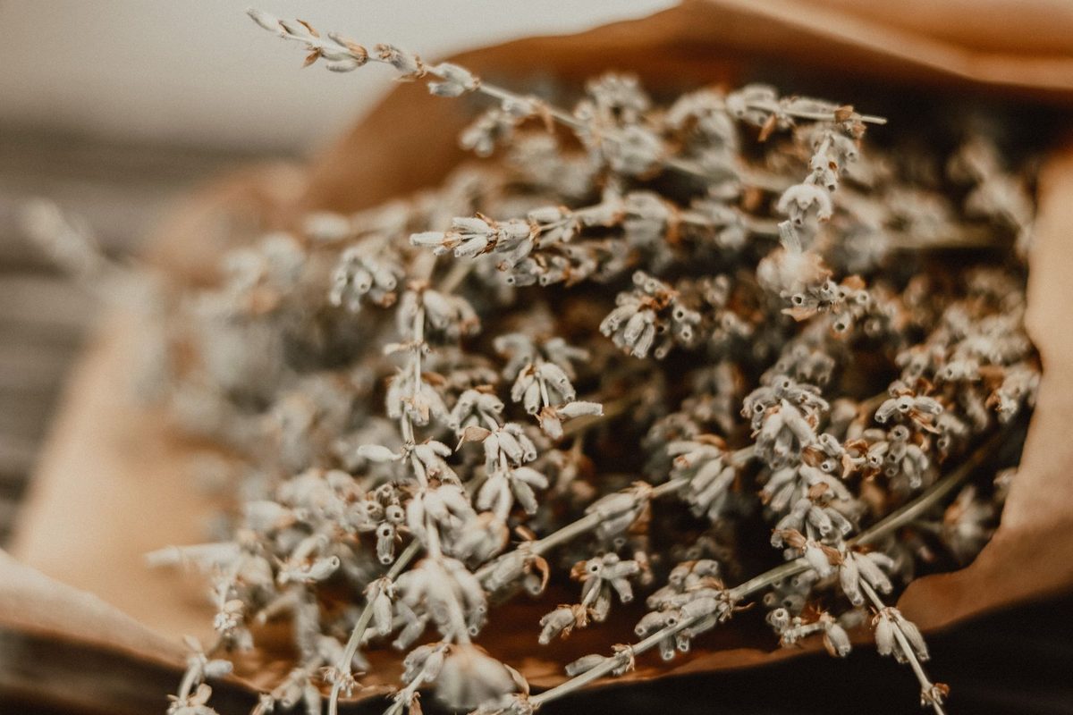 Buchet de plante medicinale uscate pe o masă rustică din lemn
