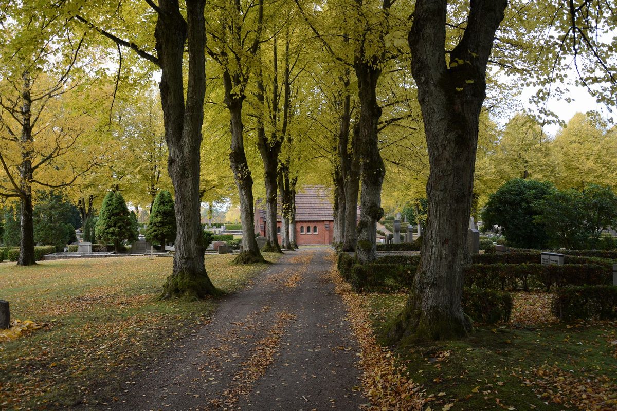 Cimitir liniștit cu alee printre copaci de toamnă