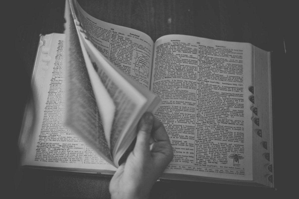 Rafturi cu carti si birou de studiu pentru definitii de identitate si drept