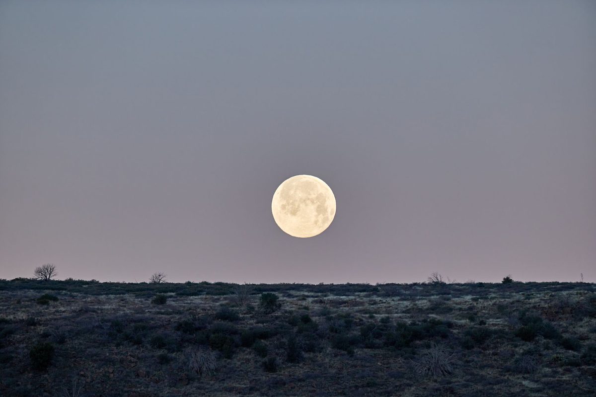 Luna plină luminând un peisaj de vară târzie