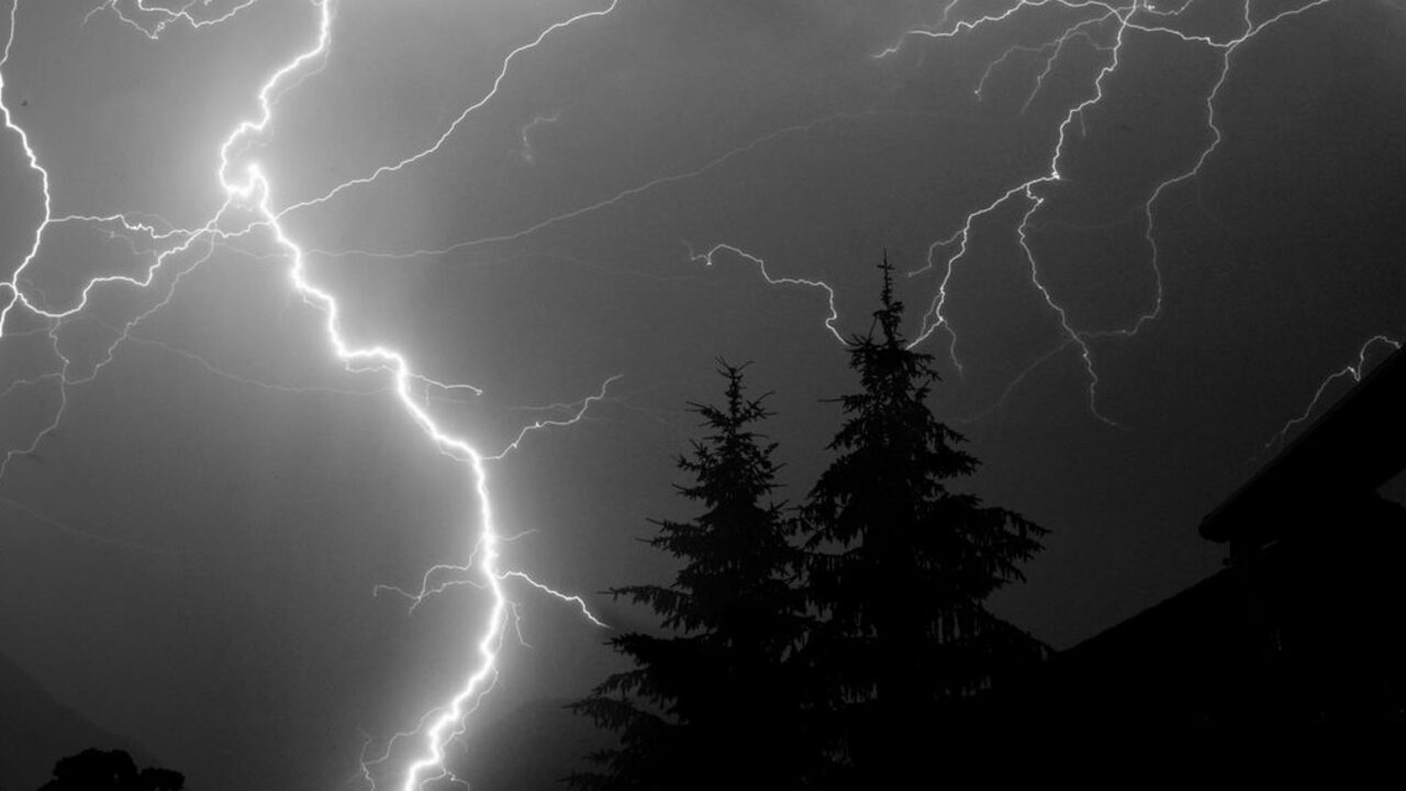 Un fulger puternic și ramificat luminează cerul de noapte în spatele unor brazi înalți.