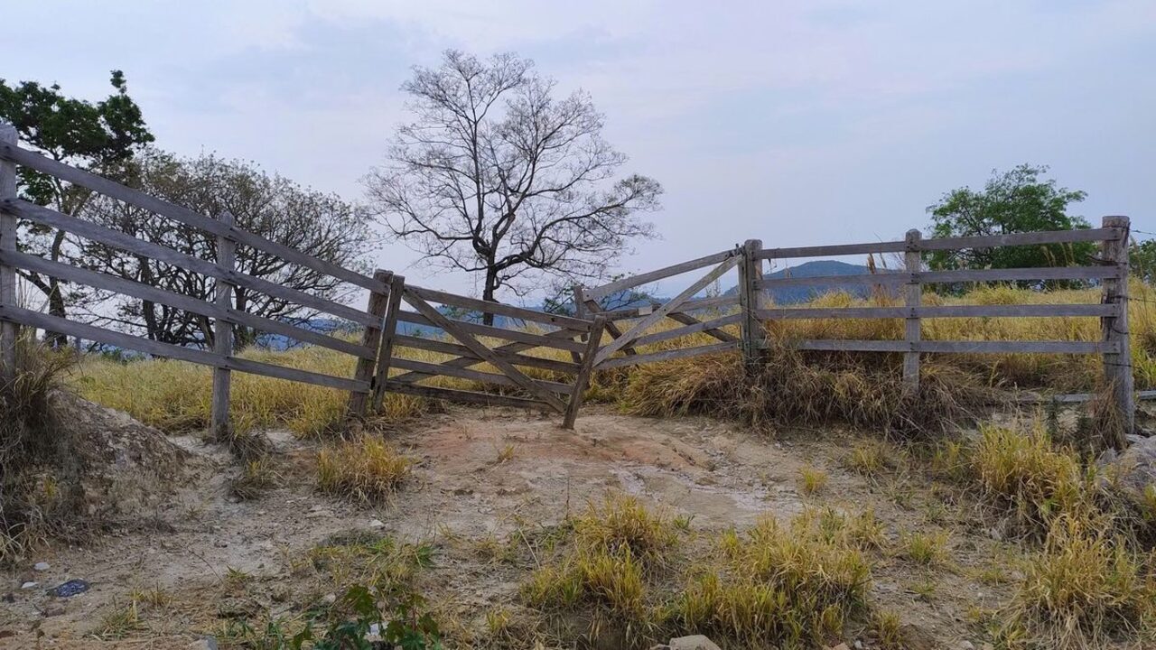 Un gard rustic din scânduri de lemn este rupt și înclinat pe o cărare de țară.