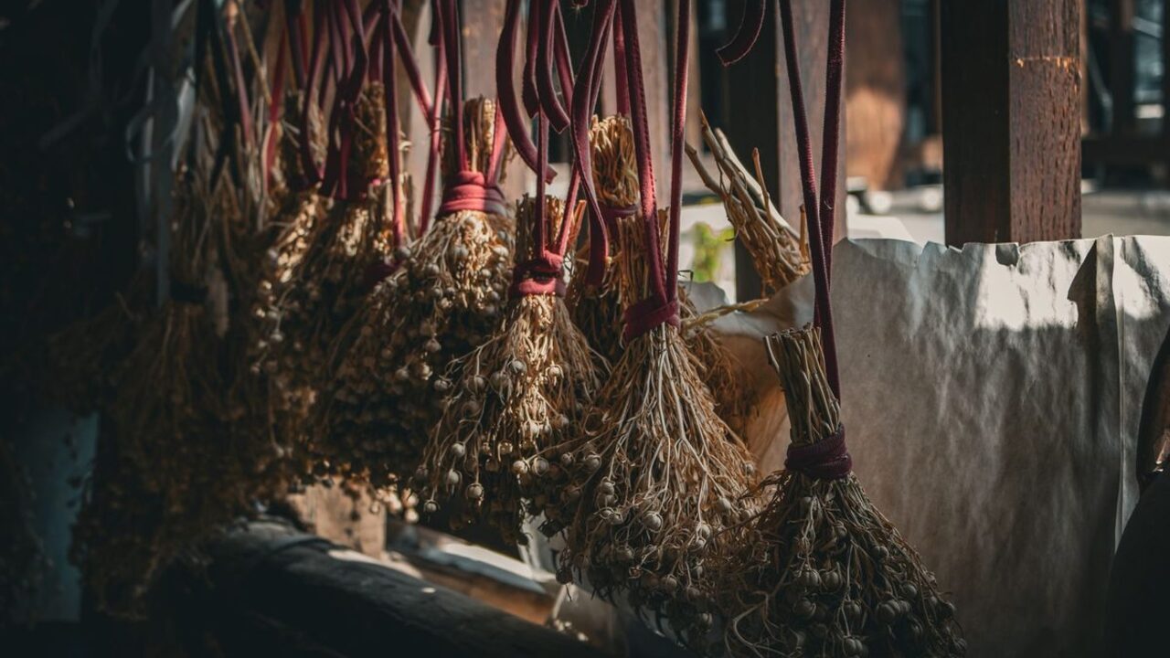 Mănunchiuri de plante și ierburi uscate legate cu șnururi roșii atârnă la uscat.